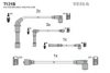 TESLA T121B Ignition Cable Kit